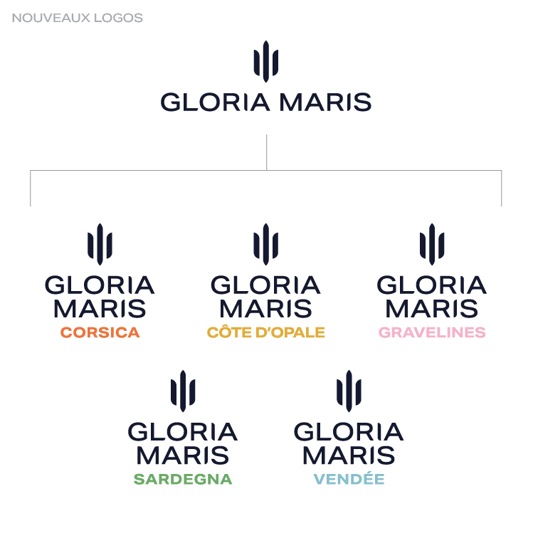 Agence charte graphique Gloria Maris identité visuelle après refonte