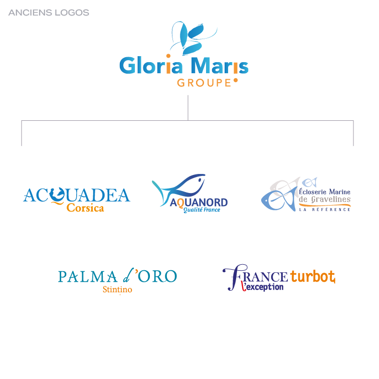 Agence charte graphique Gloria Maris identité visuelle avant refonte